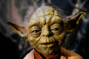 Avatar de divin