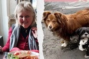 Avatar de Gis�le
