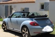 Avatar de Coccinelle bleue
