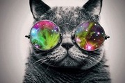 Avatar de spring