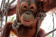 Avatar de ChangezMoi