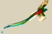 Avatar de quetzal..