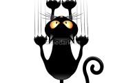 Avatar de mimie.